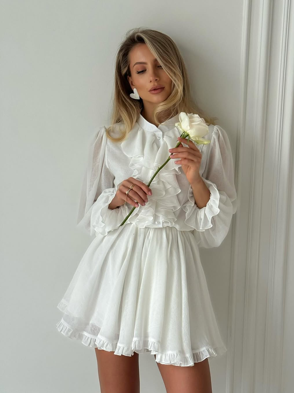 Sheer Chiffon Dress Sheer Chiffon Dress
