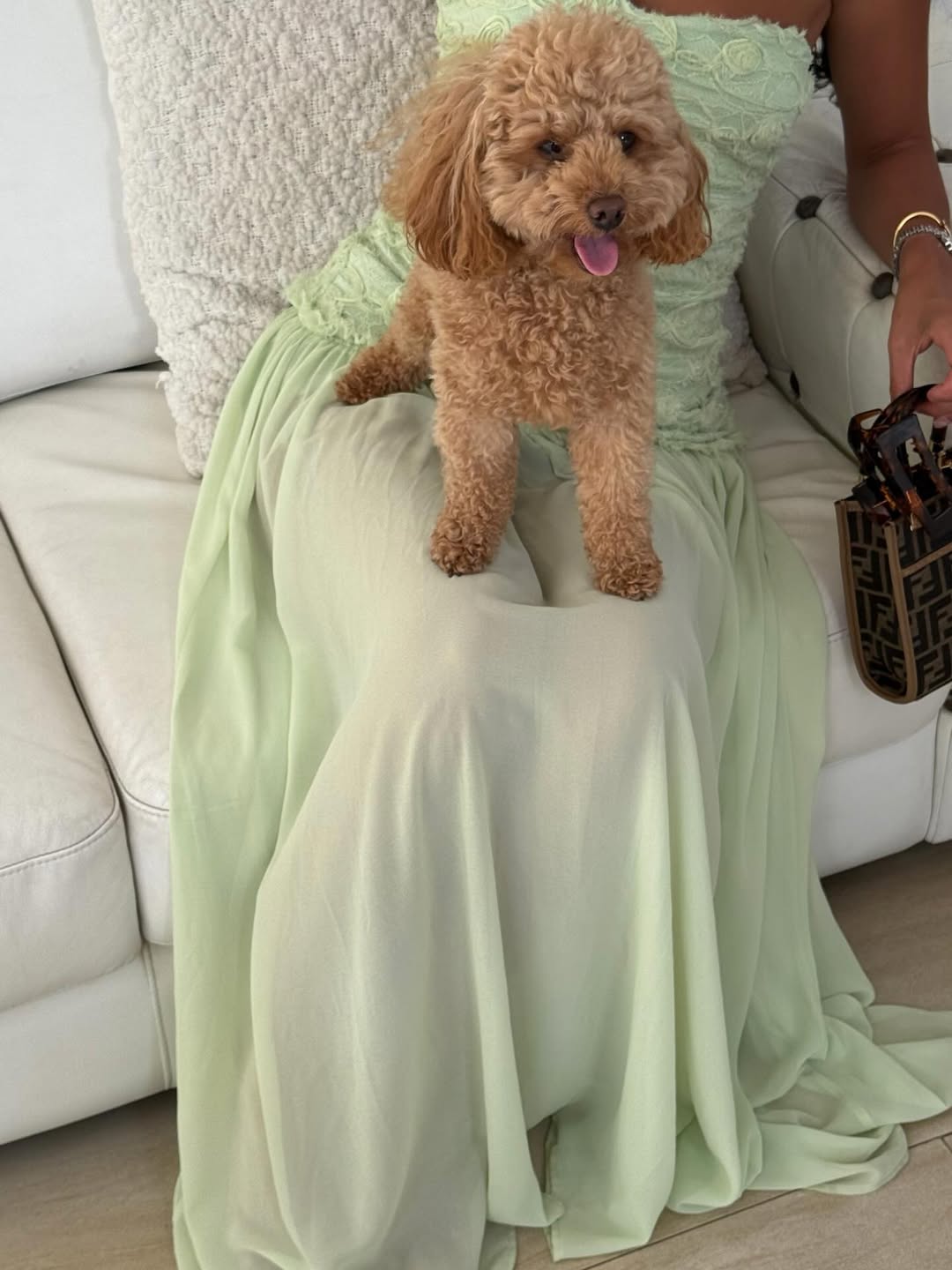 The Dorothy Dress