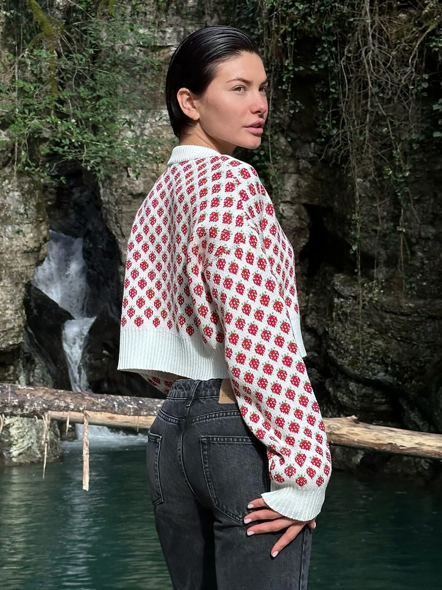 Strawberry Jacquard Short Sweater